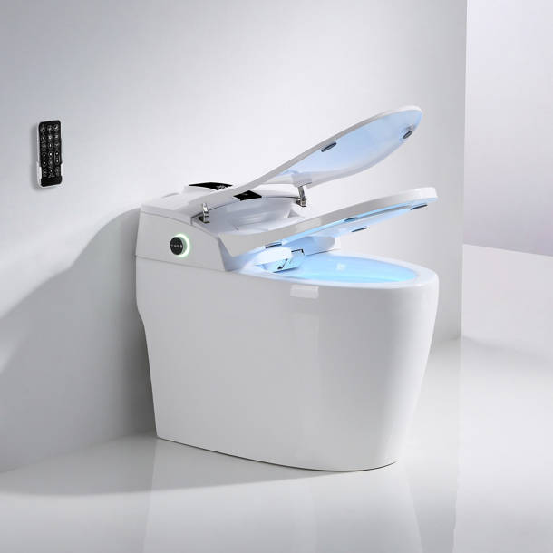 XSIX Smart Bidet Elongated Toilet Bidet,Warm Water Clear,Auto Flush